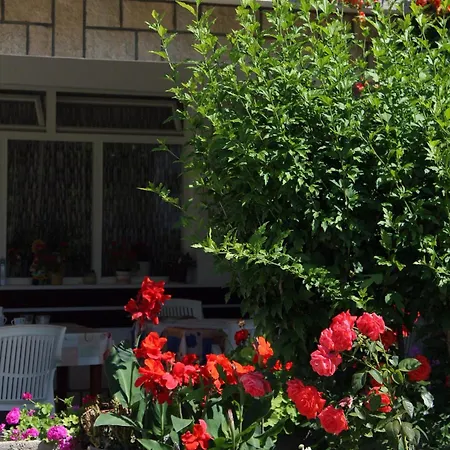 Πανσιόν And With Parking Space Palit, Rab - 5039