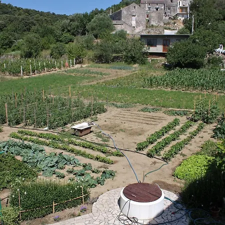 And With Parking Space Palit, Rab - 5039 Pensionat 3*